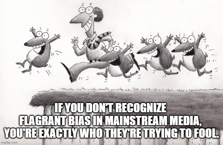 MSM Flagrant Bias is Directed at Fools | IF YOU DON'T RECOGNIZE 
FLAGRANT BIAS IN MAINSTREAM MEDIA, 
YOU'RE EXACTLY WHO THEY'RE TRYING TO FOOL. | image tagged in lemmings | made w/ Imgflip meme maker