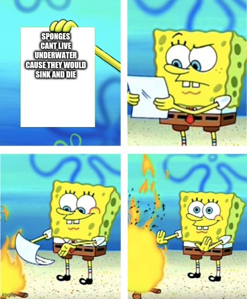 spongebob | SPONGES CANT LIVE UNDERWATER CAUSE THEY WOULD SINK AND DIE | image tagged in spongebob burning paper | made w/ Imgflip meme maker