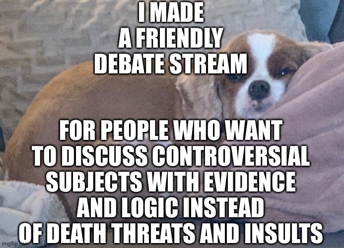 :) | I MADE A FRIENDLY DEBATE STREAM; FOR PEOPLE WHO WANT TO DISCUSS CONTROVERSIAL SUBJECTS WITH EVIDENCE AND LOGIC INSTEAD OF DEATH THREATS AND INSULTS | made w/ Imgflip meme maker