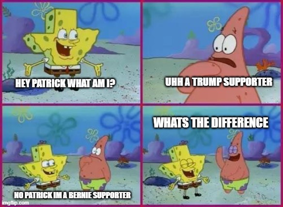 Trump or bernie? | UHH A TRUMP SUPPORTER; HEY PATRICK WHAT AM I? WHATS THE DIFFERENCE; NO PATRICK IM A BERNIE SUPPORTER | image tagged in texas spongebob | made w/ Imgflip meme maker
