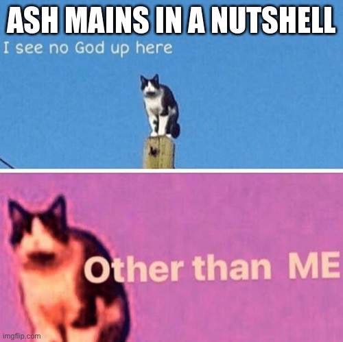 Hail pole cat | ASH MAINS IN A NUTSHELL | image tagged in hail pole cat | made w/ Imgflip meme maker