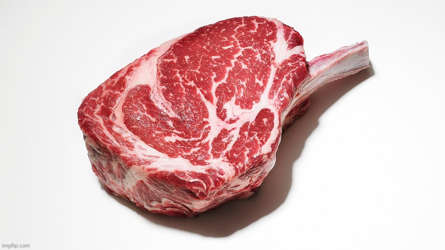 Meat: Day 1 | image tagged in meat,steak,ribeye,ribeyesteak,steakdinner | made w/ Imgflip meme maker