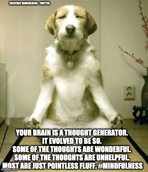 Your Mind is a Thought Generator | EVERYDAY MINDFULNESS - TWITTER; YOUR BRAIN IS A THOUGHT GENERATOR. 
IT EVOLVED TO BE SO. 
SOME OF THE THOUGHTS ARE WONDERFUL. 
SOME OF THE THOUGHTS ARE UNHELPFUL. 
MOST ARE JUST POINTLESS FLUFF. #MINDFULNESS | image tagged in inner peace dog | made w/ Imgflip meme maker
