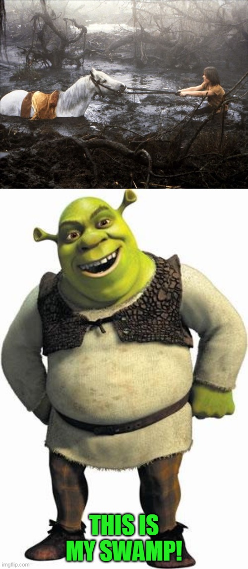 shrek does not like visitors in his swamps of sadness | THIS IS MY SWAMP! | image tagged in neverending story,shrek,memes,funny | made w/ Imgflip meme maker