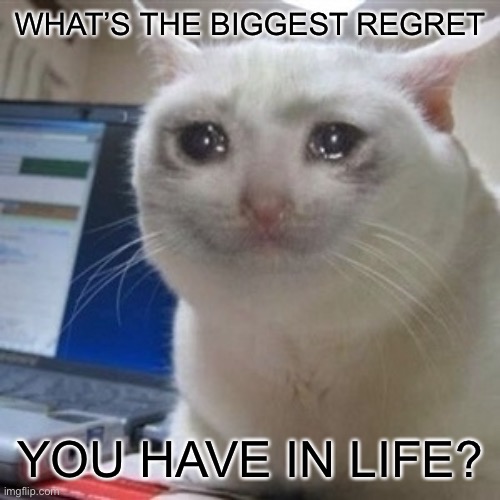 I don’t feel like putting this In the think tank | WHAT’S THE BIGGEST REGRET; YOU HAVE IN LIFE? | image tagged in crying cat | made w/ Imgflip meme maker