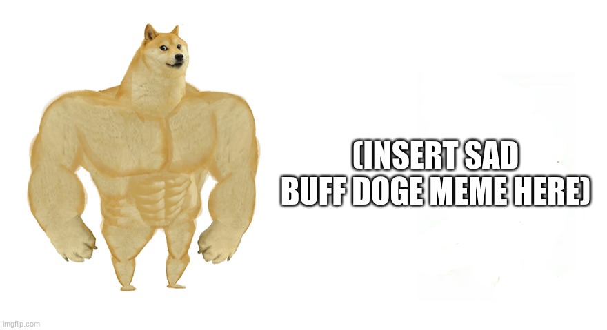 Buff Doge vs Crying Cheems | (INSERT SAD BUFF DOGE MEME HERE) | image tagged in buff doge vs crying cheems | made w/ Imgflip meme maker