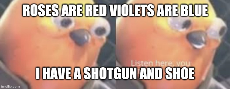 Roses are red | ROSES ARE RED VIOLETS ARE BLUE; I HAVE A SHOTGUN AND SHOE | image tagged in listen here you little shit bird | made w/ Imgflip meme maker