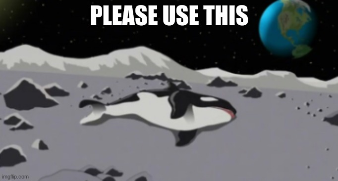 dead orca | PLEASE USE THIS | image tagged in dead orca | made w/ Imgflip meme maker