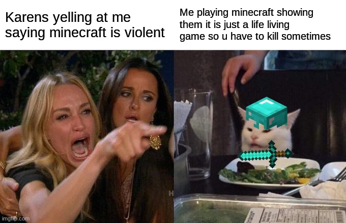 Woman Yelling At Cat | Karens yelling at me saying minecraft is violent; Me playing minecraft showing them it is just a life living game so u have to kill sometimes | image tagged in memes,woman yelling at cat | made w/ Imgflip meme maker