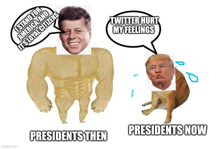 doge then and now | TWITTER HURT MY FEELINGS; I STAND FOR AMERICA, AND IT’S LOYAL CITIZENS; PRESIDENTS NOW; PRESIDENTS THEN | image tagged in doge then and now,president trump,funny | made w/ Imgflip meme maker