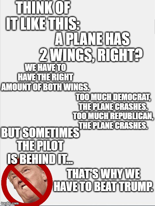 We're equal. No side is wrong. We would be flying peacefully, if it wasn't the pilot's fault. | THINK OF IT LIKE THIS:; A PLANE HAS 2 WINGS, RIGHT? WE HAVE TO HAVE THE RIGHT AMOUNT OF BOTH WINGS. TOO MUCH DEMOCRAT, THE PLANE CRASHES. TOO MUCH REPUBLICAN, THE PLANE CRASHES. BUT SOMETIMES THE PILOT IS BEHIND IT... THAT'S WHY WE HAVE TO BEAT TRUMP. | image tagged in trump,donald trump,democrats,republicans,democrat,republican | made w/ Imgflip meme maker