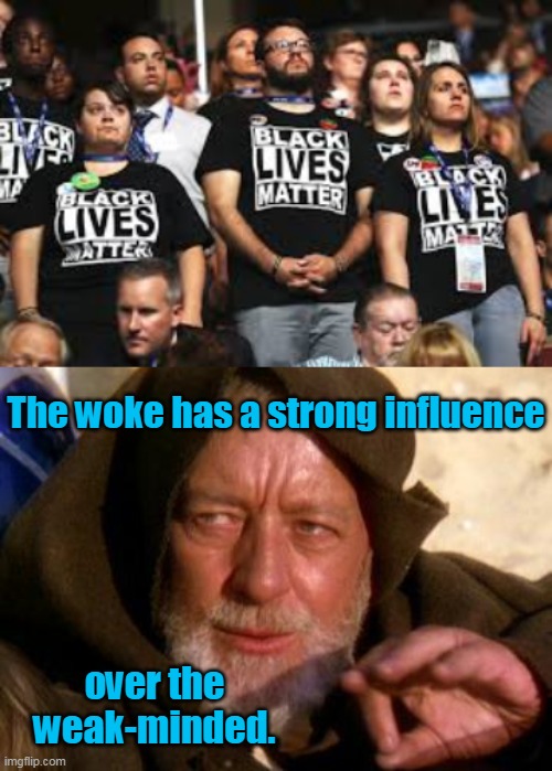 Nov 2020: I felt a great disturbance in the woke, as if millions of voices cried out for mommy and were suddenly silenced. | The woke has a strong influence; over the weak-minded. | image tagged in obi wan kenobi jedi mind trick,blm white,millenials,woke,democrats,liberals | made w/ Imgflip meme maker