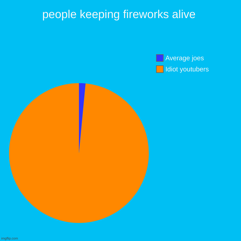 people keeping fireworks alive | Idiot youtubers, Average joes | image tagged in charts,pie charts | made w/ Imgflip chart maker