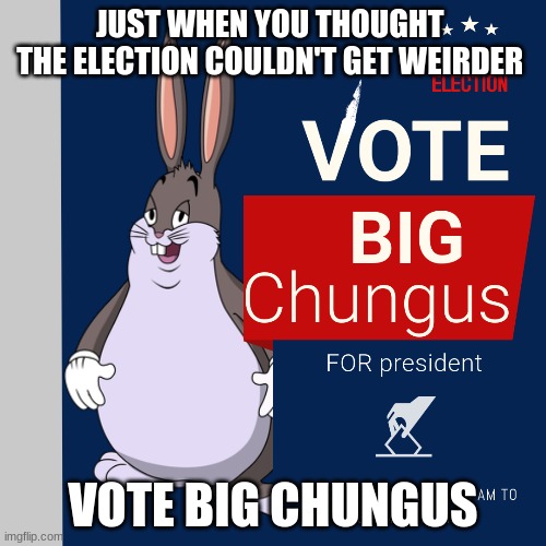 Vote big chungus | JUST WHEN YOU THOUGHT 
THE ELECTION COULDN'T GET WEIRDER; VOTE BIG CHUNGUS | image tagged in custom template | made w/ Imgflip meme maker