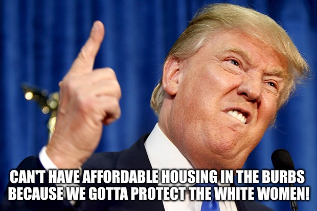 What decade...or century...is Donald living in? | CAN'T HAVE AFFORDABLE HOUSING IN THE BURBS 
BECAUSE WE GOTTA PROTECT THE WHITE WOMEN! | image tagged in donald trump | made w/ Imgflip meme maker