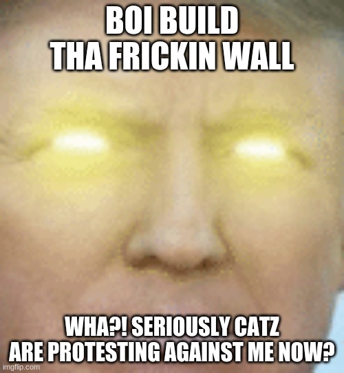 BOI BUILD THA FRICKIN WALL; WHA?! SERIOUSLY CATZ ARE PROTESTING AGAINST ME NOW? | image tagged in trump | made w/ Imgflip meme maker