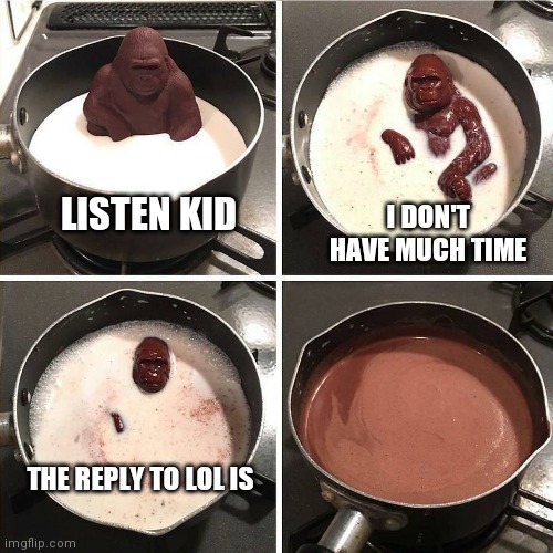 Chocolate Gorilla | I DON'T HAVE MUCH TIME; LISTEN KID; THE REPLY TO LOL IS | image tagged in chocolate gorilla | made w/ Imgflip meme maker