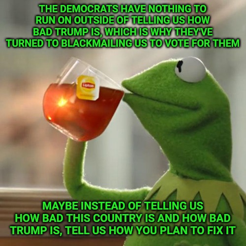 As long as these career politicians have been in office they sure are waiting a long time to start making this country better. | THE DEMOCRATS HAVE NOTHING TO RUN ON OUTSIDE OF TELLING US HOW BAD TRUMP IS, WHICH IS WHY THEY'VE TURNED TO BLACKMAILING US TO VOTE FOR THEM; MAYBE INSTEAD OF TELLING US HOW BAD THIS COUNTRY IS AND HOW BAD TRUMP IS, TELL US HOW YOU PLAN TO FIX IT | image tagged in memes,but that's none of my business,kermit the frog | made w/ Imgflip meme maker