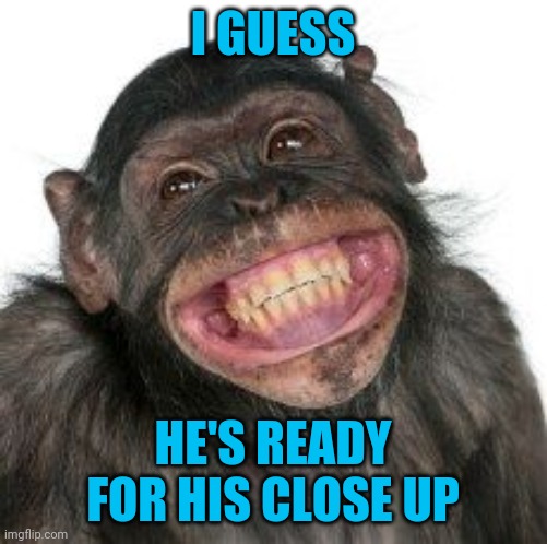 Grinning Chimp | I GUESS HE'S READY FOR HIS CLOSE UP | image tagged in grinning chimp | made w/ Imgflip meme maker