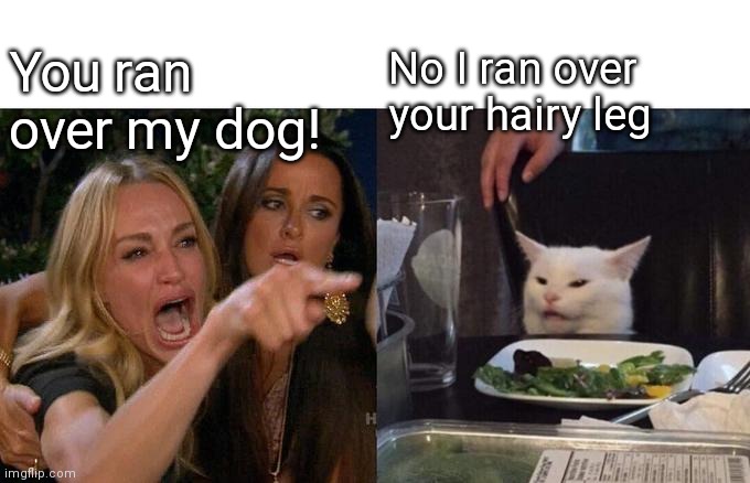 Woman Yelling At Cat | You ran over my dog! No I ran over your hairy leg | image tagged in memes,woman yelling at cat | made w/ Imgflip meme maker