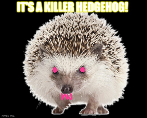 IT'S A KILLER HEDGEHOG! | made w/ Imgflip meme maker