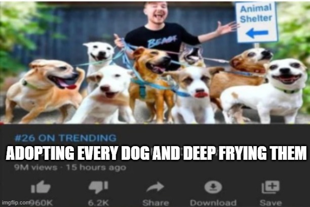 Mr. Beast | ADOPTING EVERY DOG AND DEEP FRYING THEM | image tagged in mr beast | made w/ Imgflip meme maker