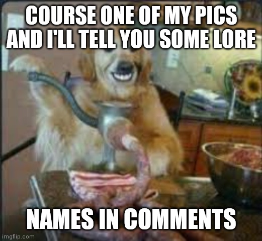 Why this image? | COURSE ONE OF MY PICS AND I'LL TELL YOU SOME LORE; NAMES IN COMMENTS | image tagged in meat dog | made w/ Imgflip meme maker