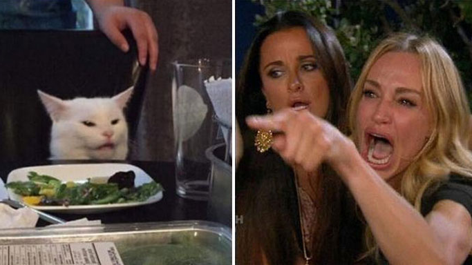 Women Yelling at cat reversed Blank Meme Template