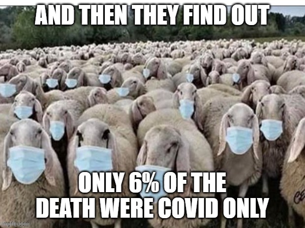 6% realization | AND THEN THEY FIND OUT; ONLY 6% OF THE DEATH WERE COVID ONLY | image tagged in sign of the sheeple | made w/ Imgflip meme maker
