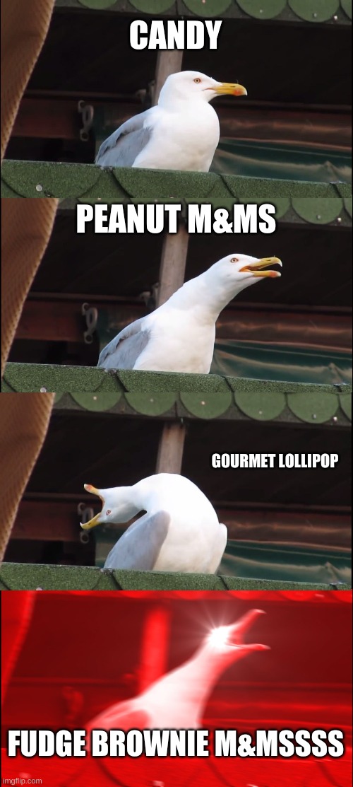 Candy Evoltion | CANDY; PEANUT M&MS; GOURMET LOLLIPOP; FUDGE BROWNIE M&MSSSS | image tagged in memes,inhaling seagull | made w/ Imgflip meme maker