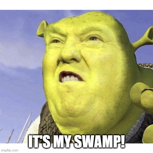 Suck it Libtards, It's my Swamp of Corruption Now | IT'S MY SWAMP! | image tagged in donald trump shrek,trump,2020,biden | made w/ Imgflip meme maker