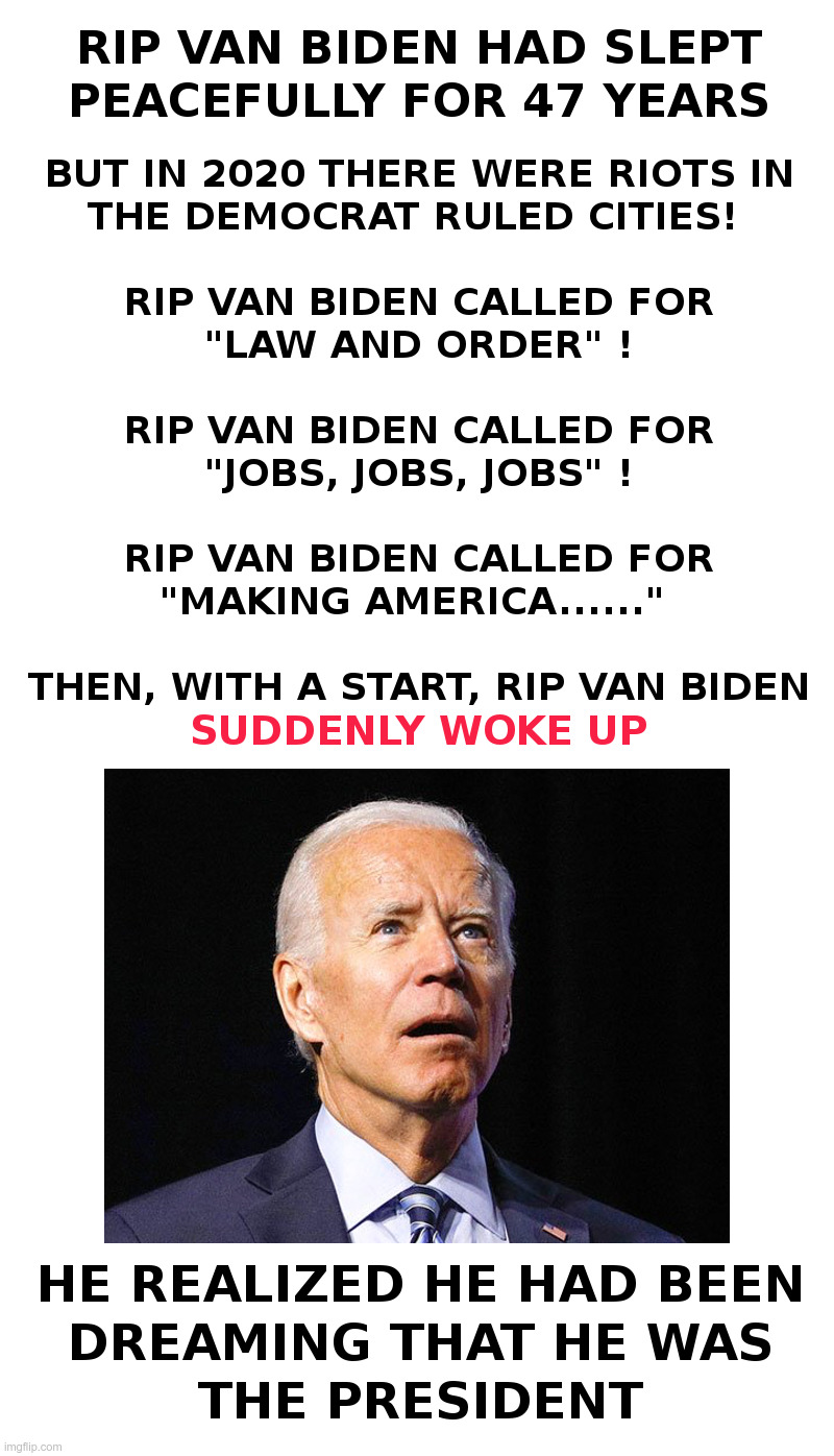 In Your Dreams, Sleepy Joe Biden, In Your Dreams | image tagged in joe biden,sleepy joe biden,plagiarism,dreams,donald trump,make america great again | made w/ Imgflip meme maker
