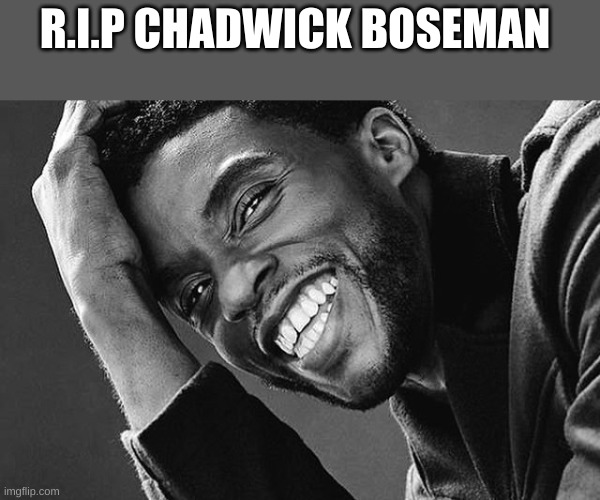 Chadwick Boseman | R.I.P CHADWICK BOSEMAN | image tagged in chadwick boseman | made w/ Imgflip meme maker