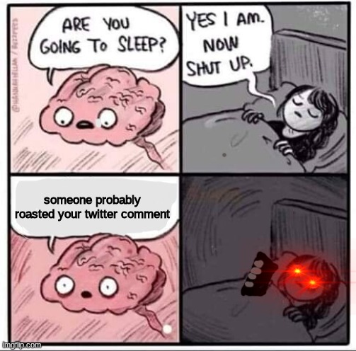 REEEEEEEEEEEEEEEEEEEEEEEEEEEEEEEEEEEEEEEEEEEEEE | someone probably roasted your twitter comment | image tagged in are you going to sleep,twitter memes,meme | made w/ Imgflip meme maker