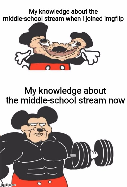 I had no idea who mason was back then | My knowledge about the middle-school stream when i joined imgflip; My knowledge about the middle-school stream now | image tagged in buff mickey mouse | made w/ Imgflip meme maker