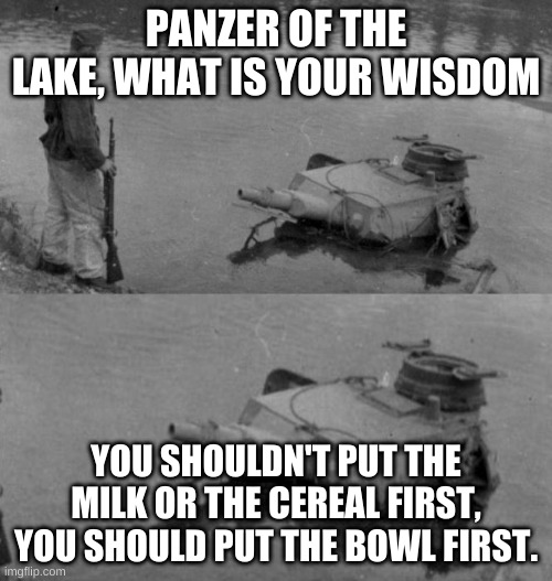 Panzer of the lake | PANZER OF THE LAKE, WHAT IS YOUR WISDOM; YOU SHOULDN'T PUT THE MILK OR THE CEREAL FIRST, YOU SHOULD PUT THE BOWL FIRST. | image tagged in panzer of the lake | made w/ Imgflip meme maker