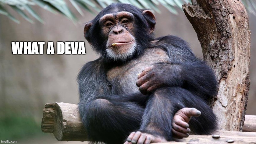 Chimp | WHAT A DEVA | image tagged in chimp | made w/ Imgflip meme maker