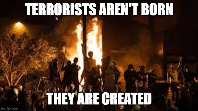 TERRORISTS | TERRORISTS AREN'T BORN; THEY ARE CREATED | image tagged in riots,antifa,blm,lgbtq,portland,democrats | made w/ Imgflip meme maker