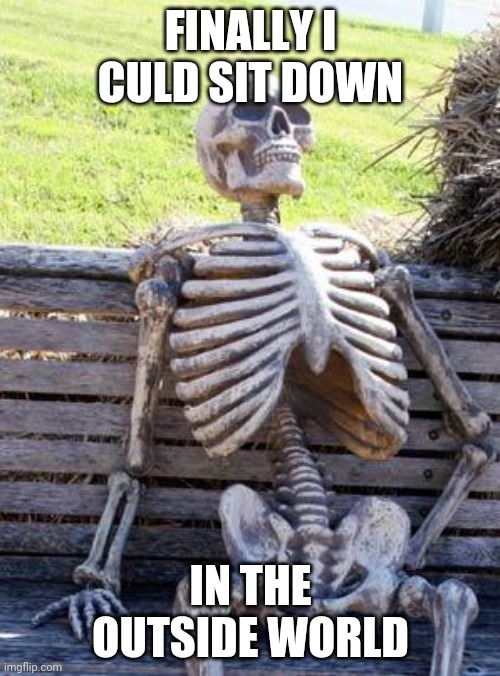 Waiting Skeleton Meme | FINALLY I CULD SIT DOWN IN THE OUTSIDE WORLD | image tagged in memes,waiting skeleton | made w/ Imgflip meme maker