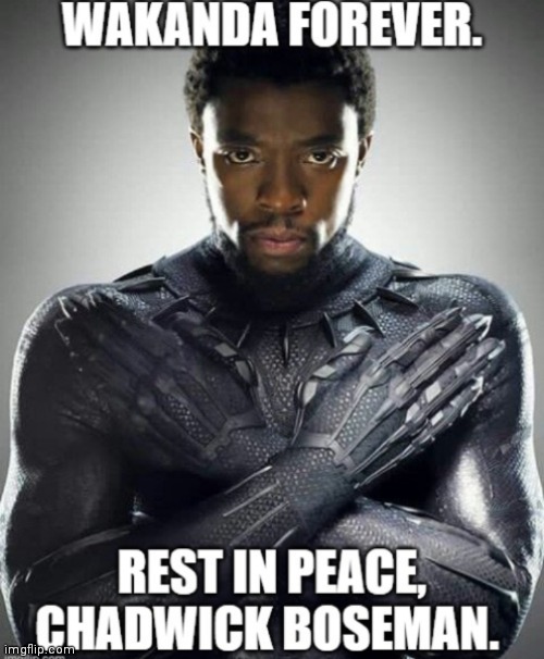 Rip ??? | image tagged in wakanda forever | made w/ Imgflip meme maker