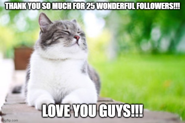 content cat |  THANK YOU SO MUCH FOR 25 WONDERFUL FOLLOWERS!!! LOVE YOU GUYS!!! | image tagged in content cat | made w/ Imgflip meme maker
