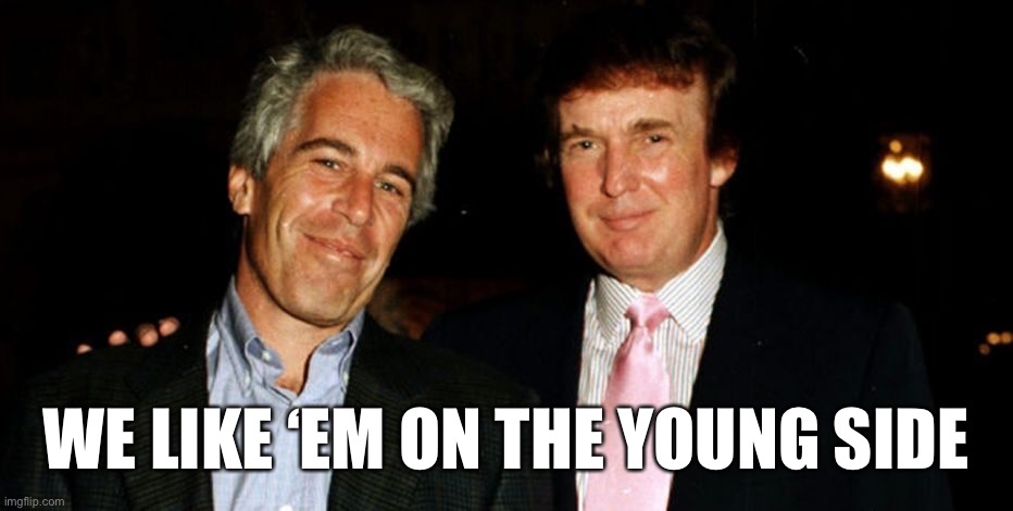 Trump Epstein | WE LIKE ‘EM ON THE YOUNG SIDE | image tagged in trump epstein | made w/ Imgflip meme maker