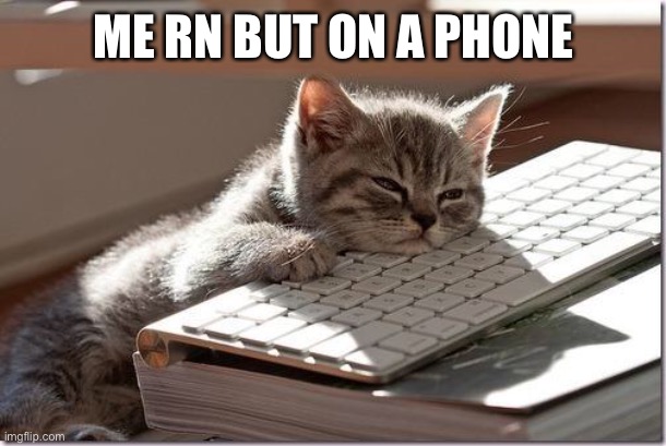 Bored Keyboard Cat | ME RN BUT ON A PHONE | image tagged in bored keyboard cat | made w/ Imgflip meme maker