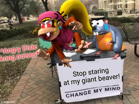 Donkey Kong country 2 | *Angry Dixie kong noises*; Stop staring at my giant beaver! | image tagged in memes,change my mind,donkey kong | made w/ Imgflip meme maker