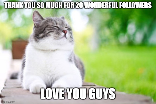 thank you so much all | THANK YOU SO MUCH FOR 26 WONDERFUL FOLLOWERS; LOVE YOU GUYS | image tagged in content cat,followers,thank you,love you,happiness | made w/ Imgflip meme maker