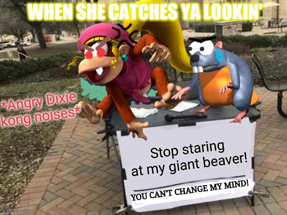 Dixie kong | WHEN SHE CATCHES YA LOOKIN'; YOU CAN'T CHANGE MY MIND! | image tagged in change my mind,donkey kong,sfw | made w/ Imgflip meme maker
