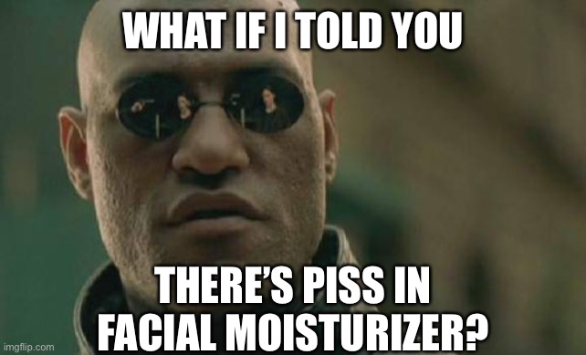 Matrix Morpheus Meme | WHAT IF I TOLD YOU THERE’S PISS IN FACIAL MOISTURIZER? | image tagged in memes,matrix morpheus | made w/ Imgflip meme maker
