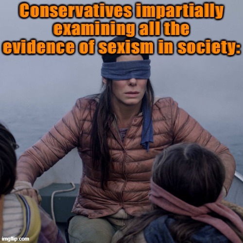 Weird I don't know why they're having trouble seeing | image tagged in sexism,sexist,misogyny,bigotry,conservative logic,bird box | made w/ Imgflip meme maker