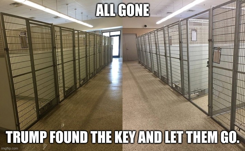 ALL GONE TRUMP FOUND THE KEY AND LET THEM GO. | made w/ Imgflip meme maker