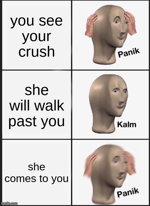 Panik Kalm Panik | you see
your crush; she will walk past you; she comes to you | image tagged in memes,panik kalm panik | made w/ Imgflip meme maker